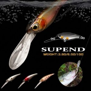 hovering long tongue-minnow-01